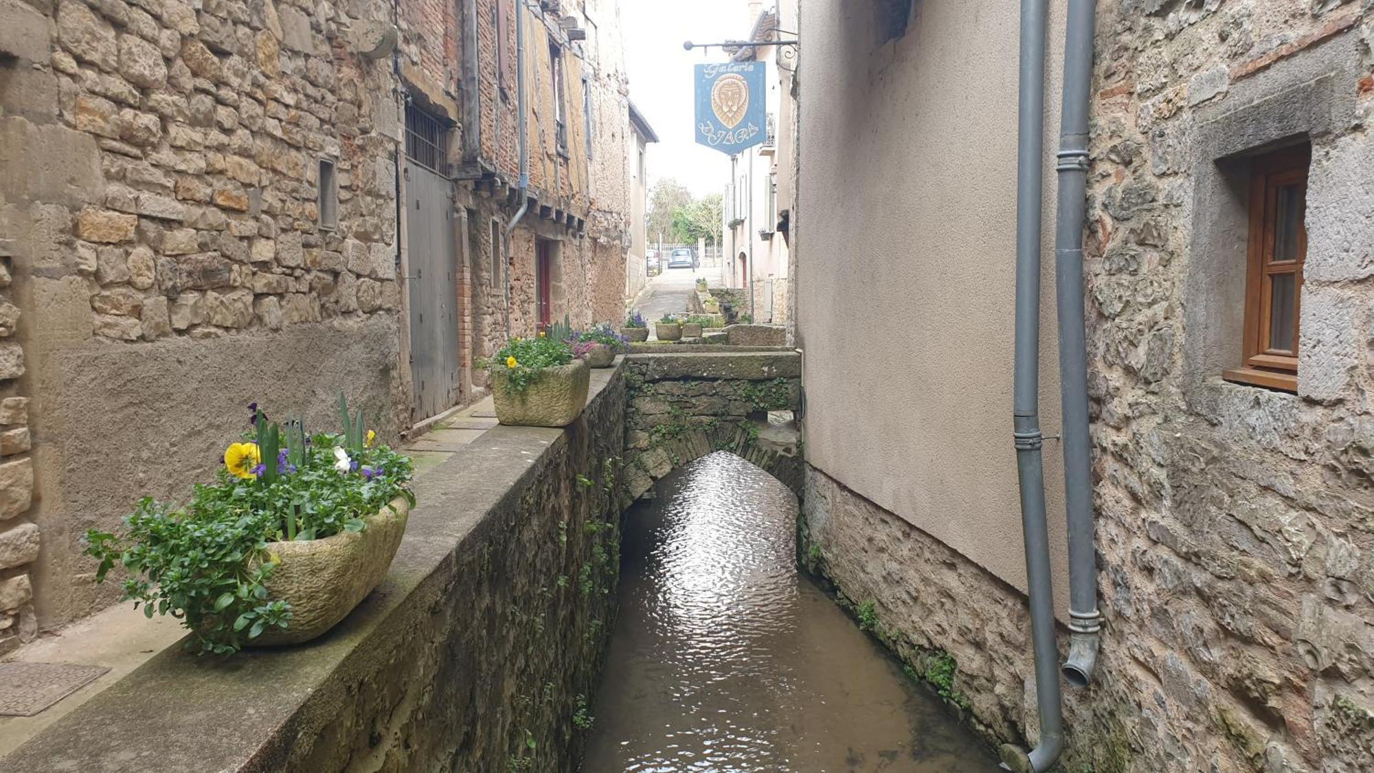 Seuls En Pleine Nature - Gite La Cote Blanche Puygaillard-de-Quercy Εξωτερικό φωτογραφία
