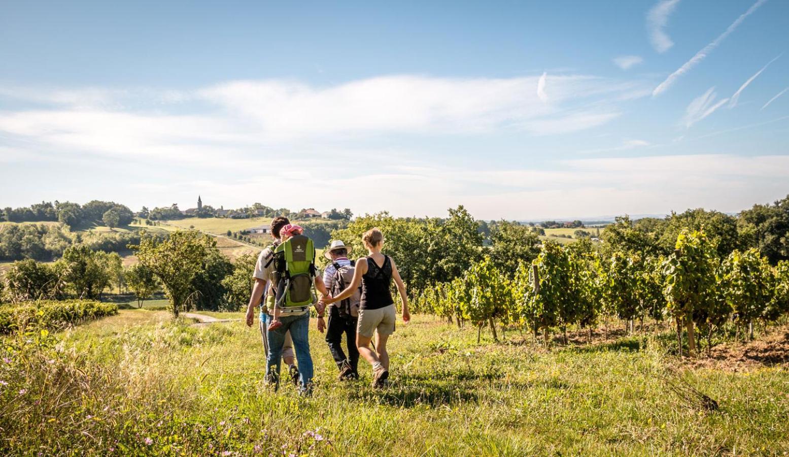 Seuls En Pleine Nature - Gite La Cote Blanche Puygaillard-de-Quercy Εξωτερικό φωτογραφία