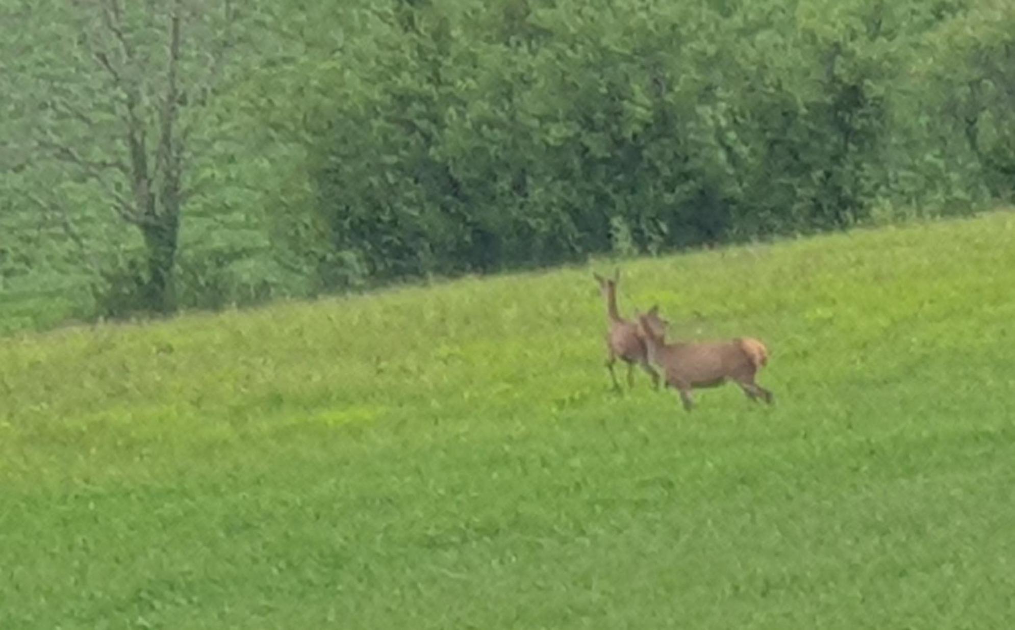 Seuls En Pleine Nature - Gite La Cote Blanche Puygaillard-de-Quercy Εξωτερικό φωτογραφία
