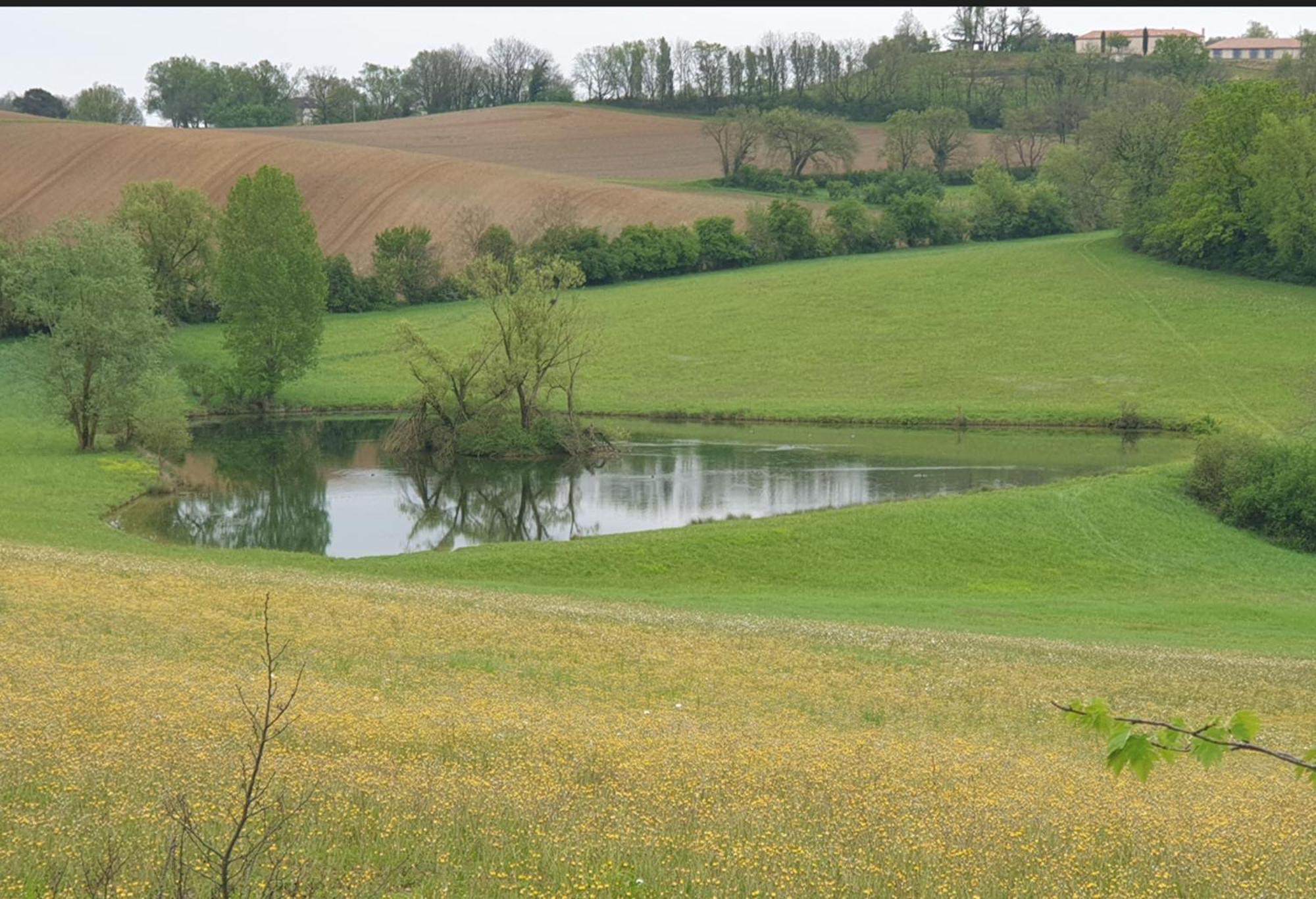 Seuls En Pleine Nature - Gite La Cote Blanche Puygaillard-de-Quercy Εξωτερικό φωτογραφία